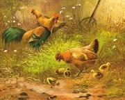 unknow artist Cocks 100 china oil painting reproduction